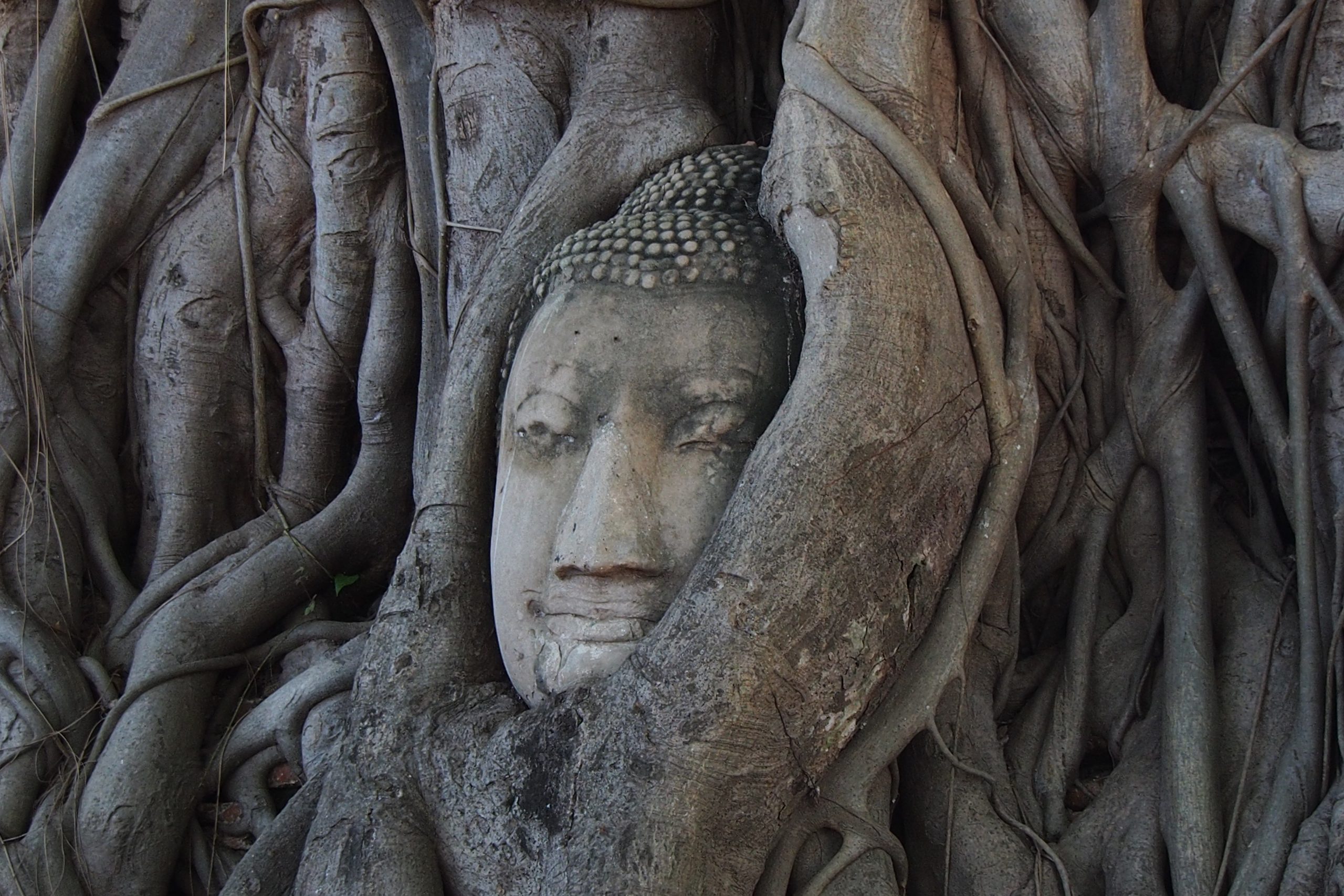 Wat Mahathat 1
