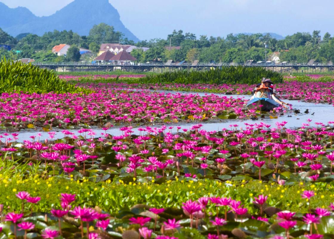 Phatthalung_Thale_Noi_1600 Phatthalung_Thale_Noi_1600